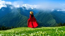 From Tbilisi Daytrip Kazbegi Gudauri & Zhinvali Guided Group Tour