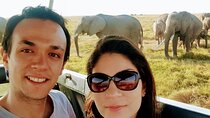 5 Days Masai Mara and Lake Nakuru Lodge Safari