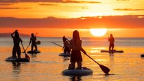 Sunrise Paddle Surf with Instructor and Photos Included