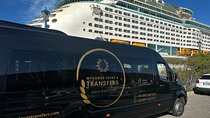 Mykonos Beach Excursion for Cruise Passengers and Family