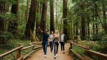 San Francisco, Muir Woods, Sausalito and optional Alcatraz tour