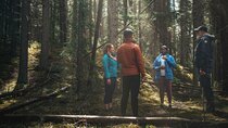 Private Forest Bathing Experience Connect with Nature
