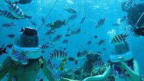 Bali Private Seawalker watersport 