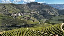 Douro Valley Half-Day Wine Tour with Winery and Lunch From Porto