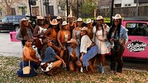 Pink Party Jeep Tour in 3rd Ward HTX