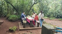 Marangu Route Day Hike on Kilimanjaro