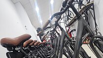 Bike Rentals in Malaga 
