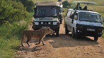 Half Day Tour To Nairobi National Park