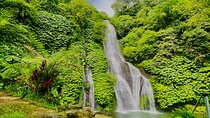 Explore Munduk Customized 8 Hour Day Tour in North Bali 