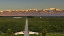 Flavors and Views of Uco Valley and Cordón Del Plata