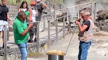 Full Day Private Tour São Miguel Island