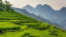 4 Authentic Days in North Vietnam with 4-Star Private Comfort