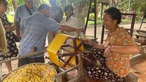 Silk Mekong Island Haft Day Tour