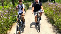Ninh Binh Day Trip - Small Group of 11 Guided Tour from Hanoi