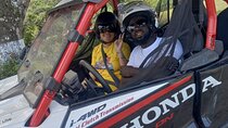 Ziplines/Horse Back Ride & Swim and ATV or Dune Buggy. 