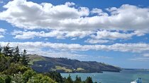 North Otago 7 Hours Scenic & Wildlife Tour 