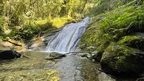 Full Day Private Sierra Nevada Tour with Transport