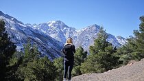 Marrakech: Atlas Mountains Day Hike, Talamrout Summit 2700M