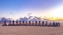 Experience Quad, Camel Riding and Dinner Show in Agafay