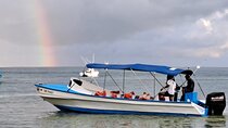Collective Boat Transportation to Corcovado Sirena from Drake Bay