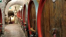 Small Group Tuscany Tour Montepulciano, Montalcino and Cortona
