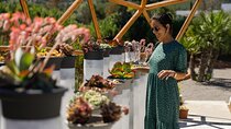 Ticket for BiBo Park Ibiza Biotech Botanical