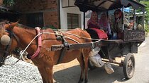 Cu Chi Tunnels & Mekong Delta Full Day Tour Muslim Friendly