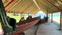 Auckland to Paihia via West Coast Small Group Tour (One Way)