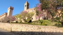 From Florence to Bolgheri Private Tour by Minivan