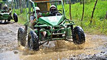 Punta Cana Zip Line, horse riding & Buggy