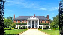 Boone Hall Plantation Day Tour with Transportation