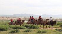 3 Day Tour to Kharkhorin and Mini Gobi with Camel and Horse Ride