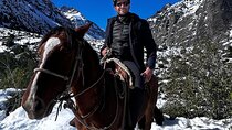 From Santiago to the Andine Forest for horse riding in the Andes