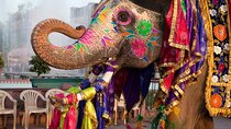 Private Multi Day Golden Triangle Tour from India
