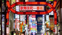 Tokyo After Dark Shinjuku Tour of Tradition and Pop Culture