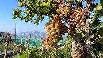 E-Bike tour in Sorrento Peninsula and wine tasting