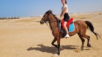 One Hour Horseback Riding Trip with Transfer - Sharm El Sheikh
