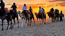 Agafay Desert Dinner Show with Quad Bike and Camel