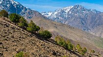 Atlas and Desert 5 Day Tour an authentic adventure