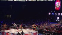 Mexico City Lucha Libre with Hotel Pickup