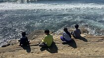 Point Loma Tide Pool Tour