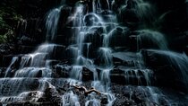 Ubud Tour and Personal Photographer