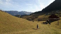 The countryside and magical forests of Transylvania