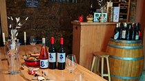 Split Wine Journey: An Introduction to Dalmatian Wines