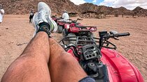 Sinai Desert Quad Bike and Camel Ride Adventure