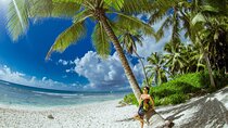 PRIVATE VIP tour Saona Island with Snorkeling, Starfish, Turtles 