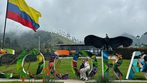 Private Tour to Salento, Cocora Valley and Philandia