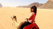 One Hour Camel Ride Adventure with Transfer - Sharm El Sheikh
