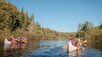 Algonquin Park and Ragged Falls Hike and Canoe Adventure