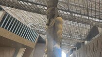 Best Private Tour: Giza Pyramids & Grand Egyptian Museum